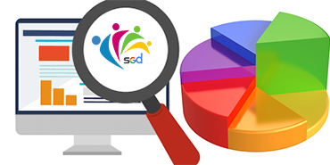 Seo Analizi